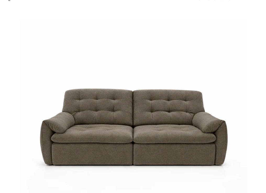 Cozy Extendable Sofa